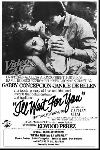 I'll Wait For You (If It Takes Forever) poster