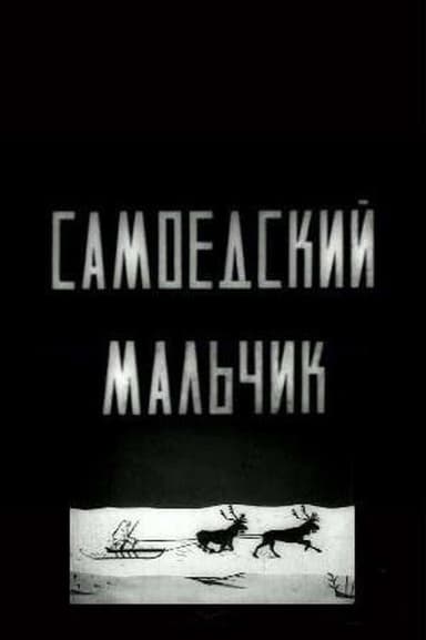 Samoyed Boy poster