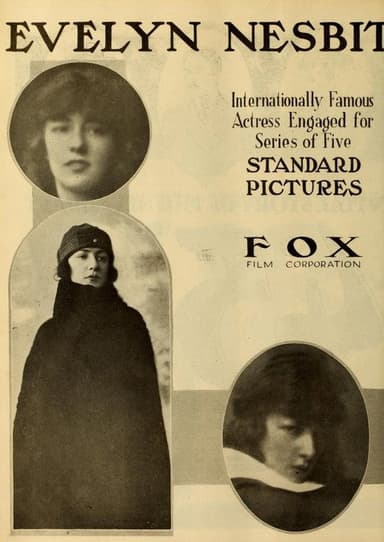 The Woman Who Gave poster