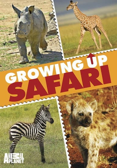 Animal Planet: Growing Up Safari poster