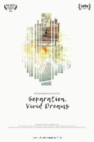 Separation, Vivid Dreams poster