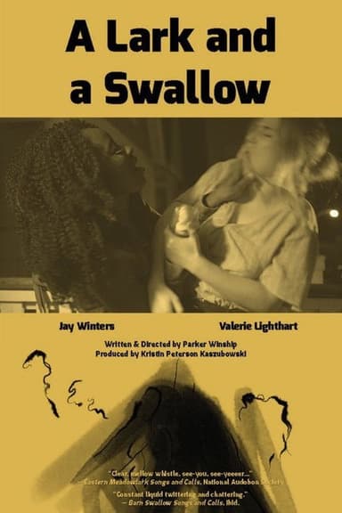 A Lark and a Swallow poster