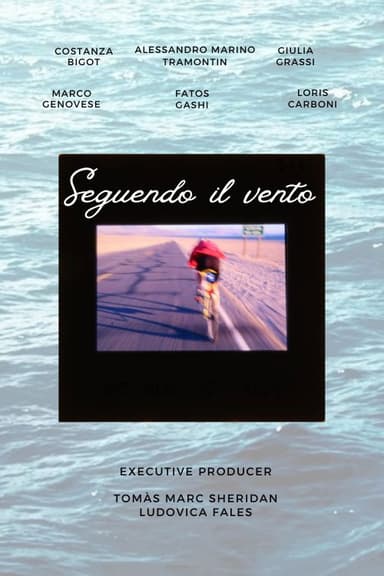 Seguendo il vento poster