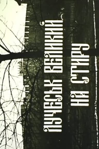 Luchesk is Large on the Styr River poster