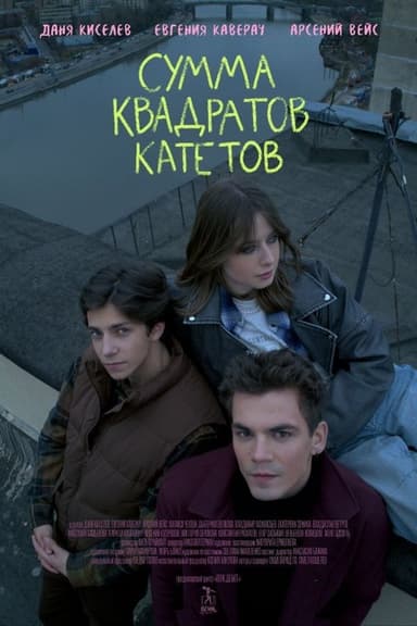 Сумма квадратов катетов poster