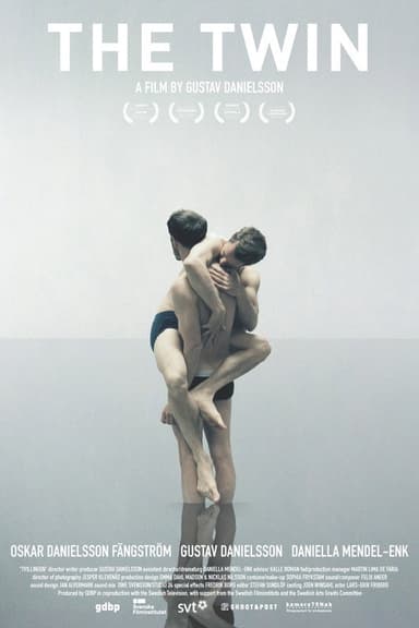 The Twin poster