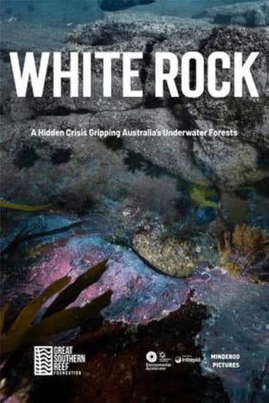 White Rock poster