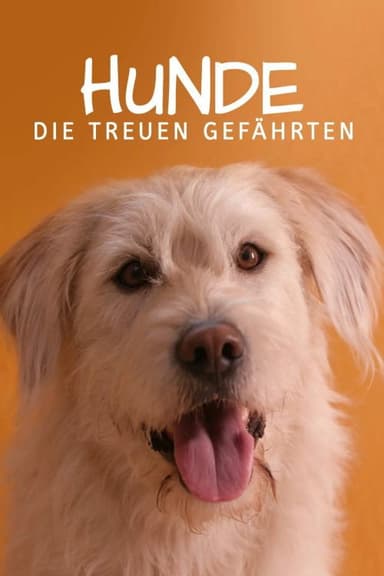 For Dog’s Sake poster