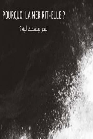 Why Does the Sea Laugh? poster