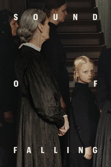Sound of Falling poster
