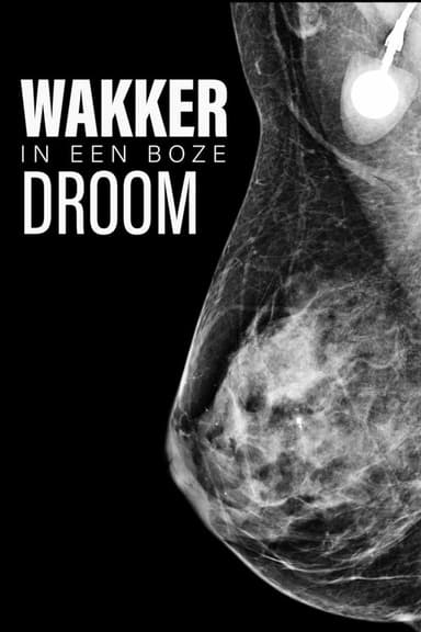 Awake in a Bad Dream poster