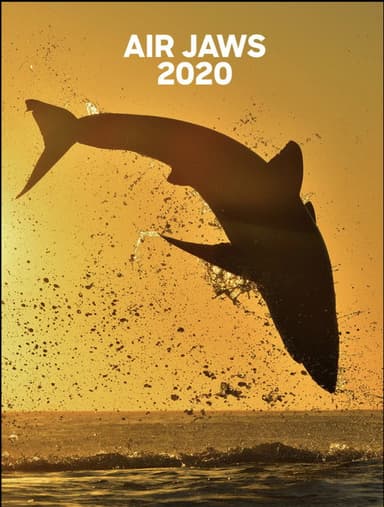Air Jaws: 2020 poster