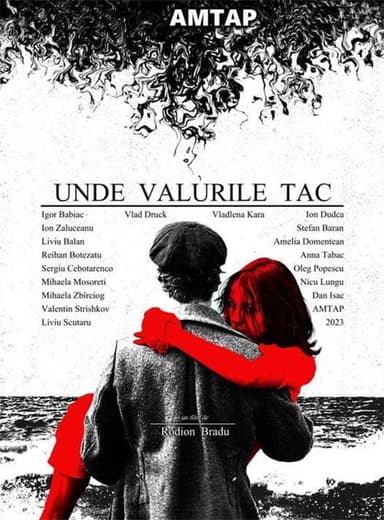 Unde Valurile Tac poster