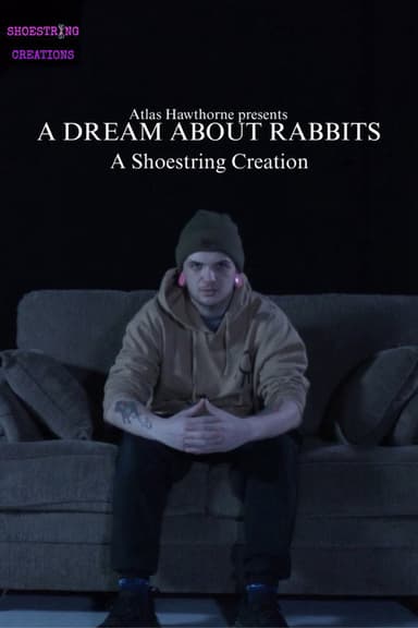 A Dream About Rabbits poster