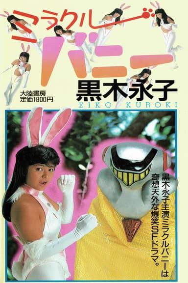 Miracle Bunny 2 poster