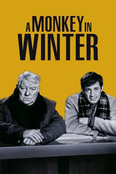 A Monkey in Winter poster