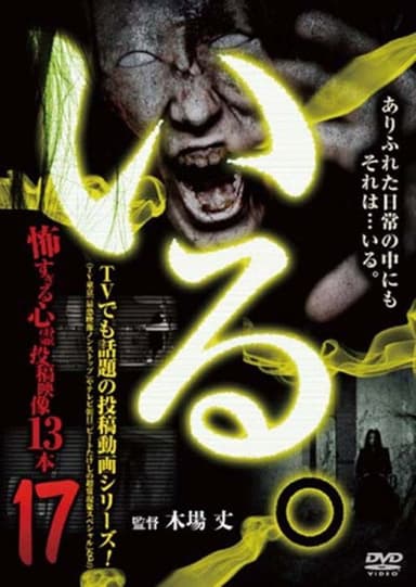 「Iru.」~ Kowasugiru Tōkō Eizō 13-hon ~ Vol.17 poster