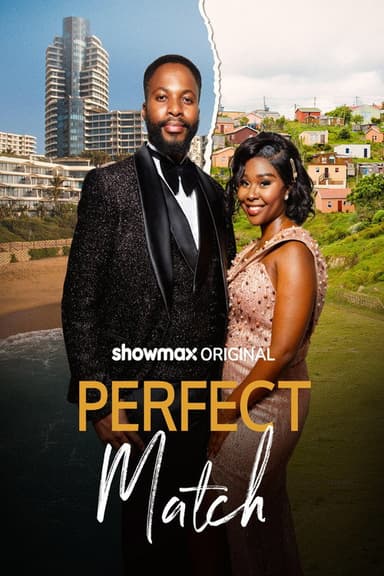 Perfect Match poster