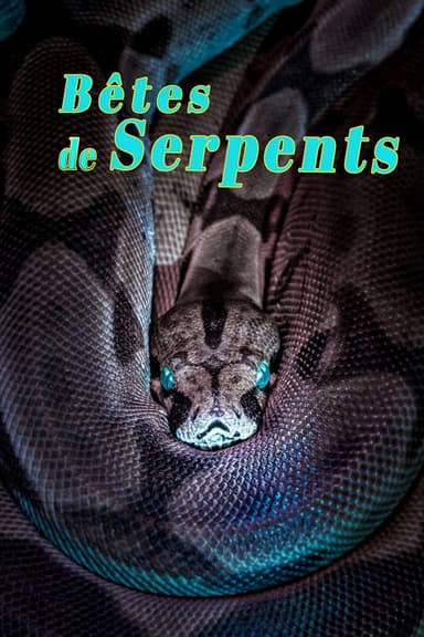 Bêtes de serpents poster