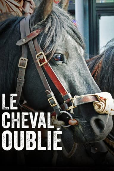 Le cheval oublié poster