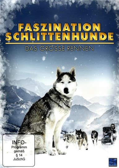 Faszination Schlittenhunde - Das große Rennen poster