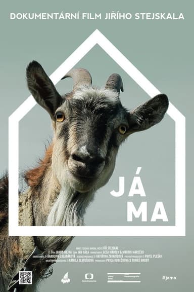My Home poster