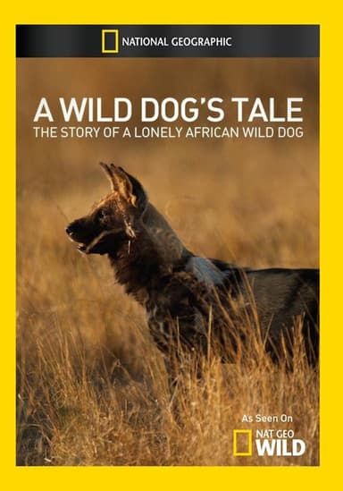Solo: A Wild Dog's Tale poster