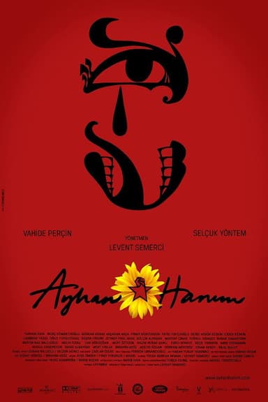 Ayhan Hanım poster