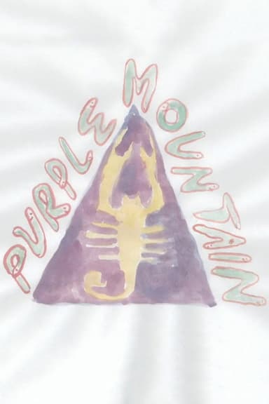 Purple Mountain poster