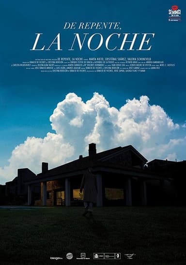 Suddenly, the Night poster