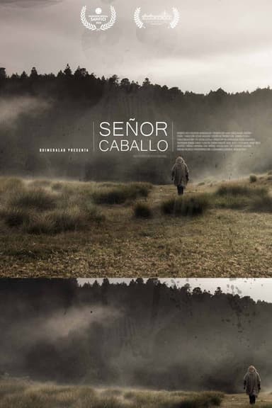 Señor Caballo poster
