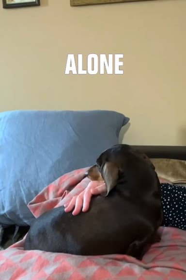 Alone poster