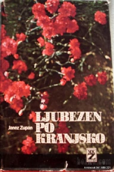 Love, Kranj Style poster