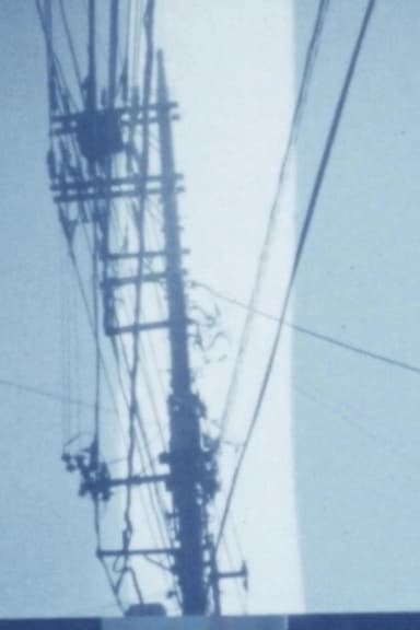 In the Spring Season poster