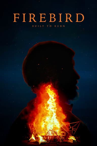 Firebird: Built to Burn poster