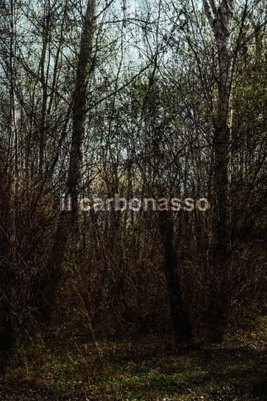il carbonasso poster