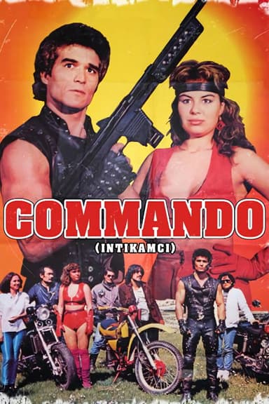 İntikamcı poster