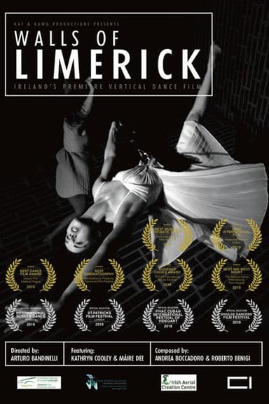 Walls of Limerick poster