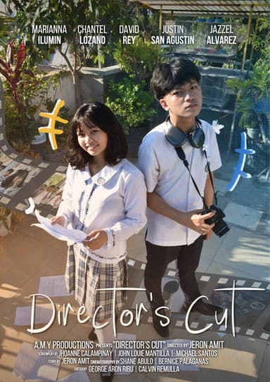 Director's Cut poster