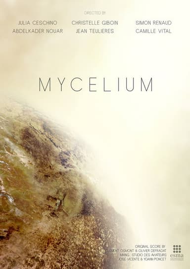 Mycelium poster