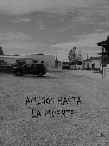 Amigos hasta la muerte poster