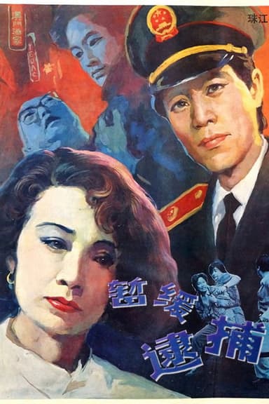 暂缓逮捕 poster