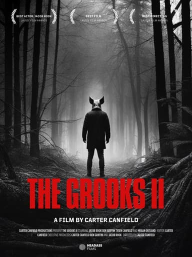 The Grooks II poster