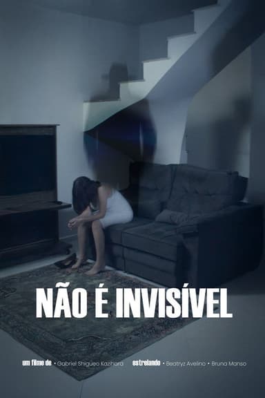 Not Invisible poster