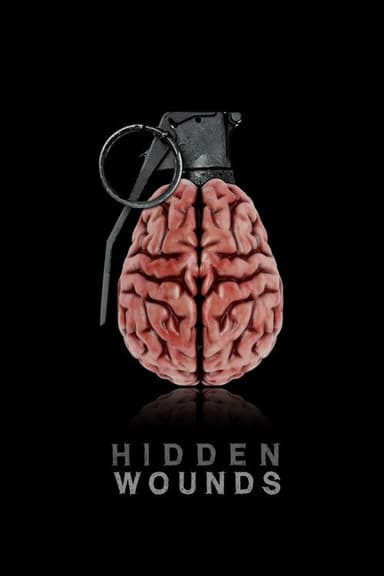 Hidden Wounds poster