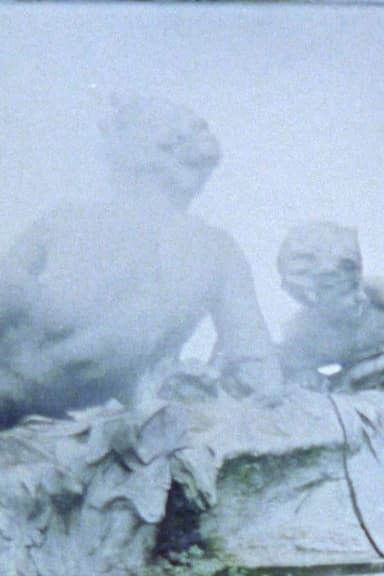 Skulpturen im Nebel poster