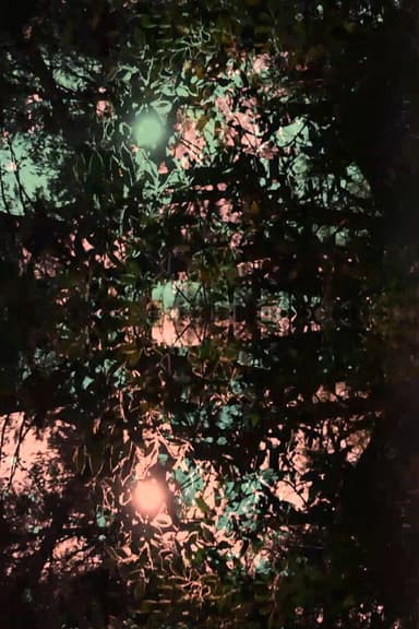 Imitation of light poster