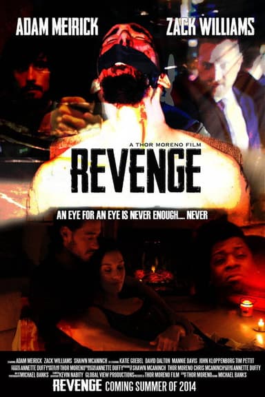 Revenge: A Love Story poster