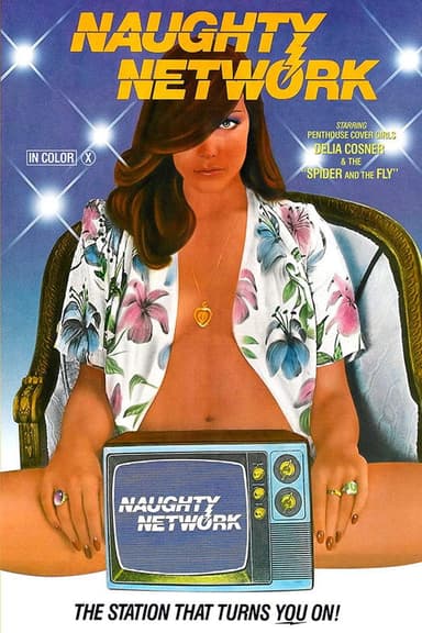 Naughty Network poster