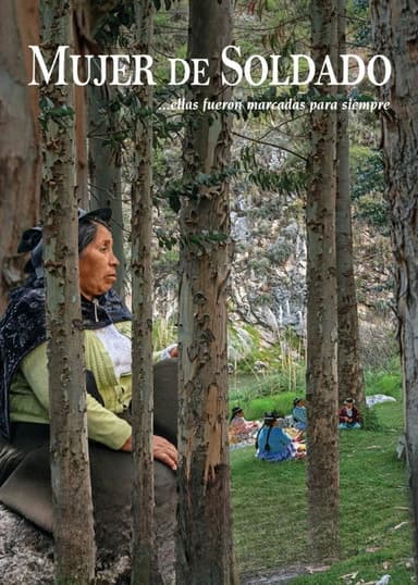 Soldier's Woman poster